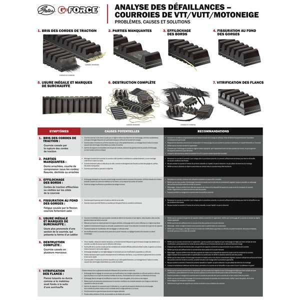 G-Force CVT Drive Belt (210096)