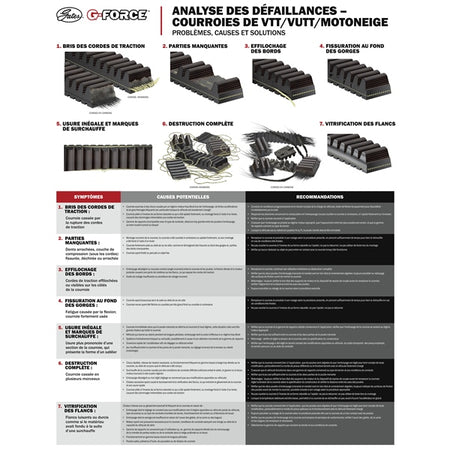 G-Force CVT Drive Belt (210119)