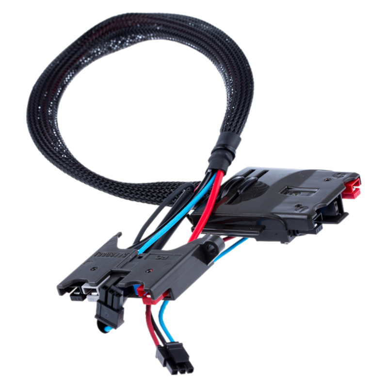 579621301 WIRING ASSY