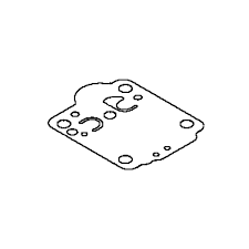 504025601 DIAPHRAGM