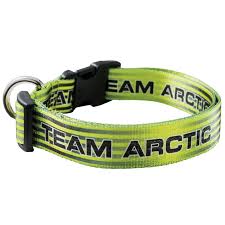 Collier pour chat Arctic Cat - Noir et vert citron 5273-043
