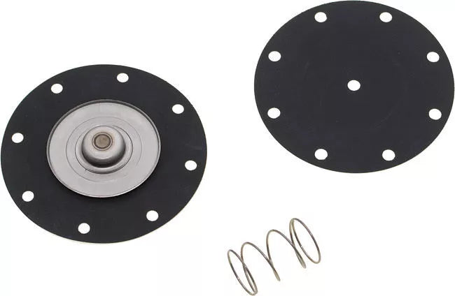 15100-7281V DIAPHRAGM SET