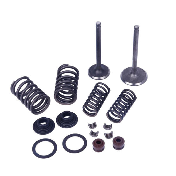 KIT DE VALVE DE PIÈCES MOGO, H-70-110CC (61-0201)